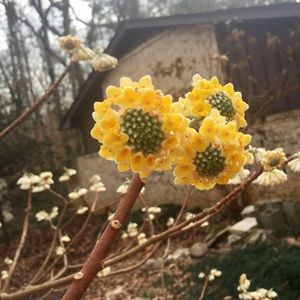 Meet your Posher, Mary ellen